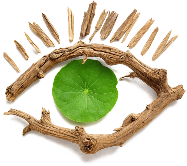 Graphic representation of plasminogen deficiency symptoms presenting as woody eye growths